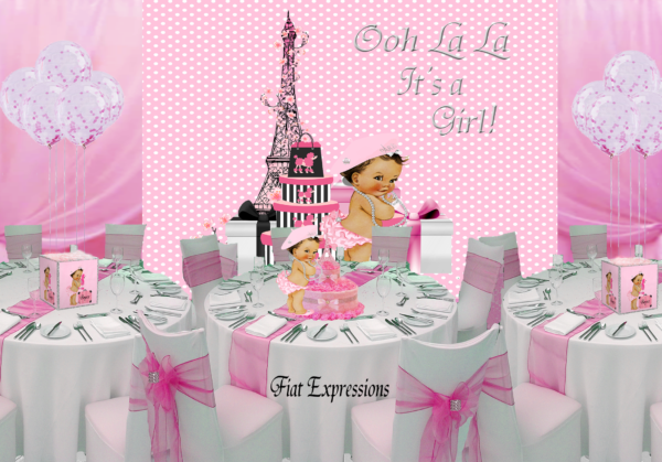 Fiat Expressions Paris Pink Paisley Baby Shower Decorations Kit