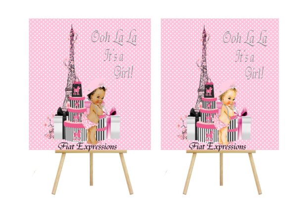 Fiat Expressions Paris Pink White Baby Shower Poster Backdrop