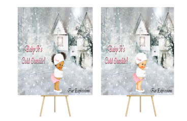 Fiat Expressions Baby It's Cold Outside House Baby Shower Poster Backdrop