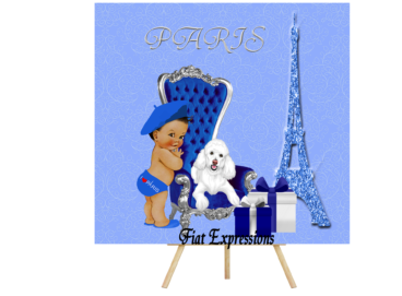 Fiat Expressions Paris Boy Blue Silver Baby Shower Backdrop