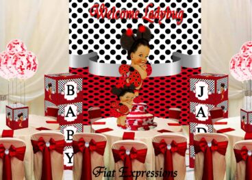 Fiat Expressions Ladybug Red Black Baby Shower Decorations Kit