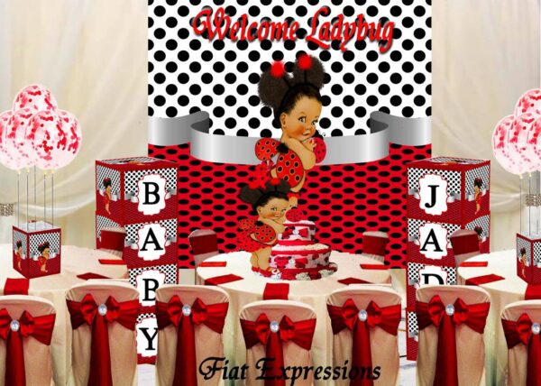 Fiat Expressions Ladybug Red Black Petite Baby Shower Decorations Kit