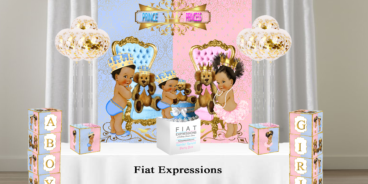 Fiat Expressions Prince Princess Baby Blue Pink Gender Reveal Party Kit