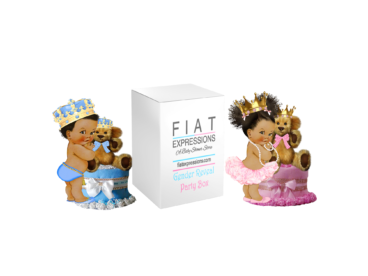 Fiat Expressions Royal Baby Blue Pink Gender Reveal Diaper Cupcake