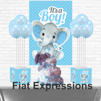 Fiat Expressions Elephant Blue Petite Baby Shower Kit