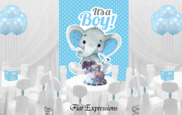 Fiat Expressions Elephant Blue Baby Shower Kit